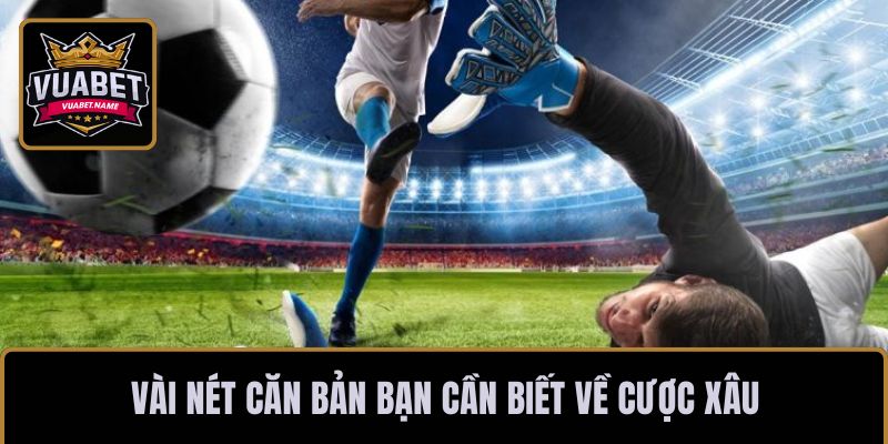 Vài nét căn bản bạn cần biết về cược xâu