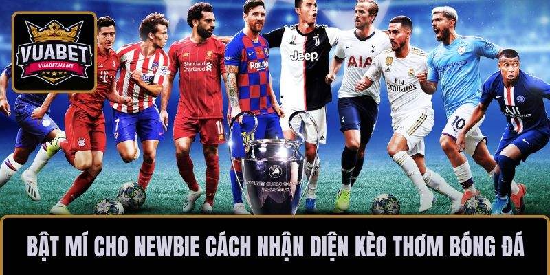 Bật mí cho newbie cách nhận diện kèo thơm bóng đá