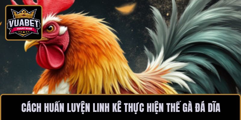 Cách huấn luyện linh kê thực hiện thế gà đá dĩa