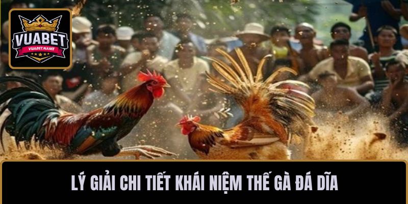 Lý giải chi tiết khái niệm thế gà đá dĩa